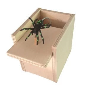 Prank Scare Box BUY 1 GET 1 FREE